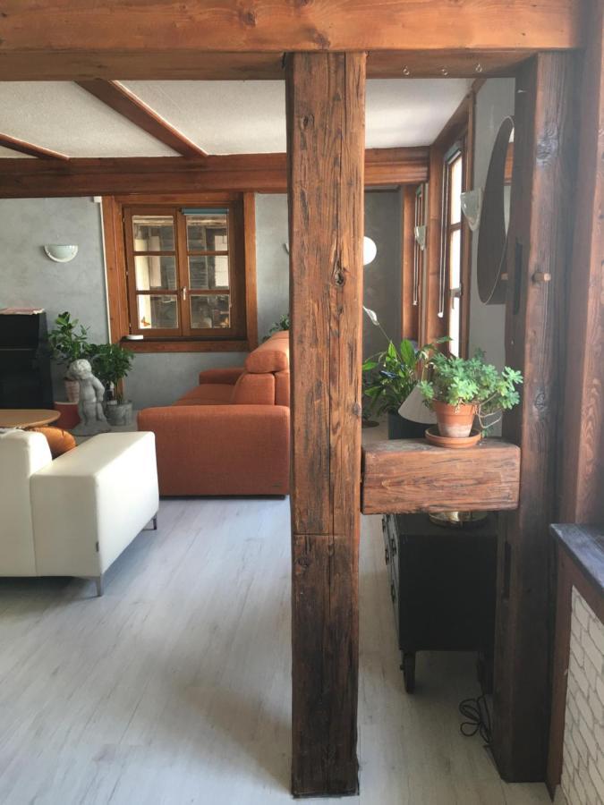 Au Relais De L'Histoire Gite Classe 4 Etoiles Oberbronn المظهر الخارجي الصورة